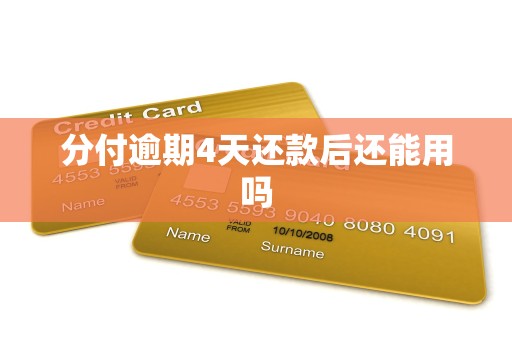 分付逾期4天还款后还能用吗