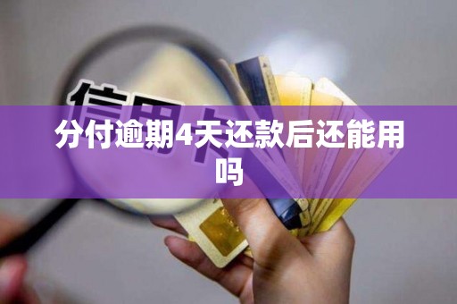 分付逾期4天还款后还能用吗