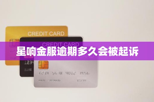 星响金服逾期多久会被起诉