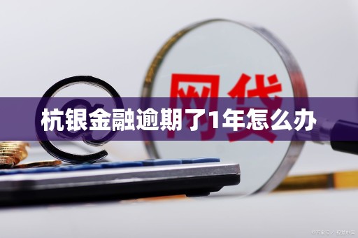 杭银金融逾期了1年怎么办 杭银金融逾期了1年怎么办