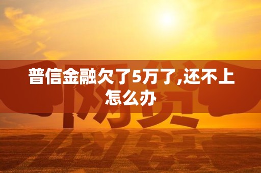 普信金融欠了5万了,还不上怎么办