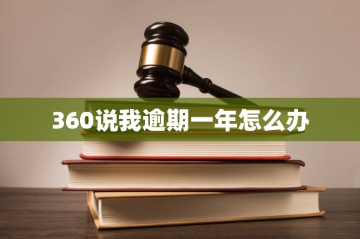 360说我逾期一年怎么办 360说我逾期一年怎么办