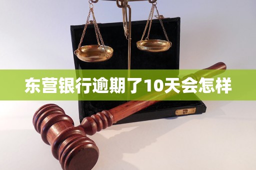东营银行逾期了10天会怎样