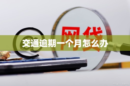交通逾期一个月怎么办