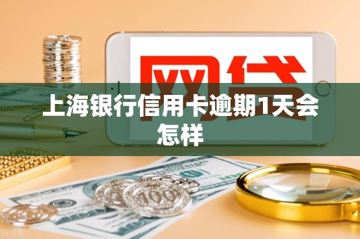 上海银行信用卡逾期1天会怎样