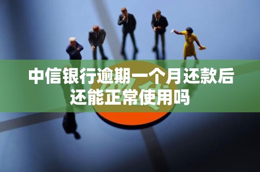 中信银行逾期一个月还款后还能正常使用吗