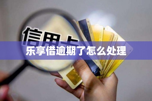 乐享借逾期了怎么处理