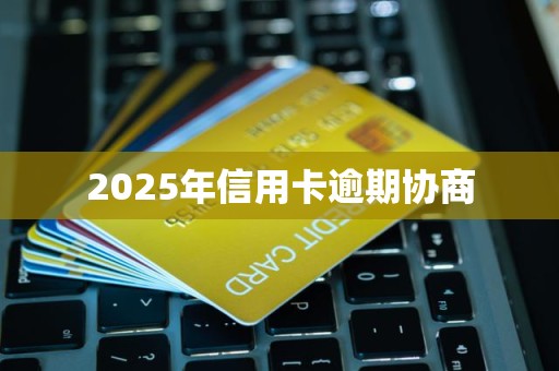 2025年信用卡逾期协商 2025年信用卡逾期协商