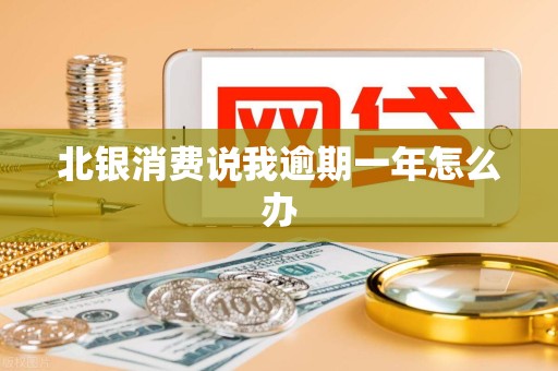 北银消费说我逾期一年怎么办