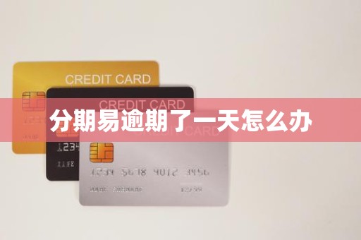分期易逾期了一天怎么办 分期易逾期了一天怎么办