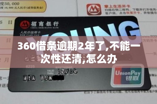 360借条逾期2年了,不能一次性还清,怎么办