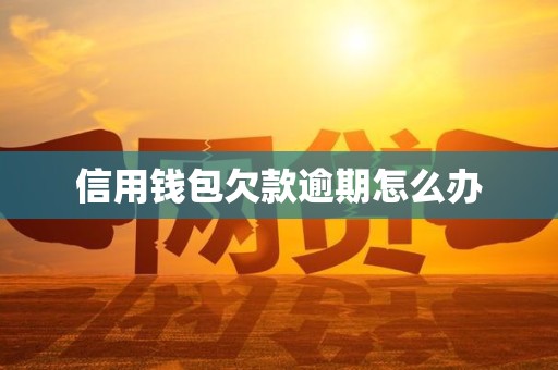信用钱包欠款逾期怎么办