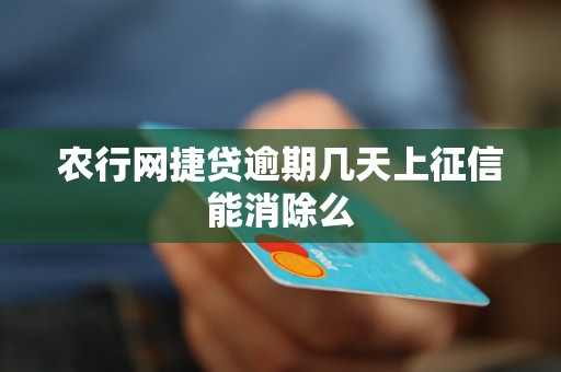 农行网捷贷逾期几天上征信能消除么