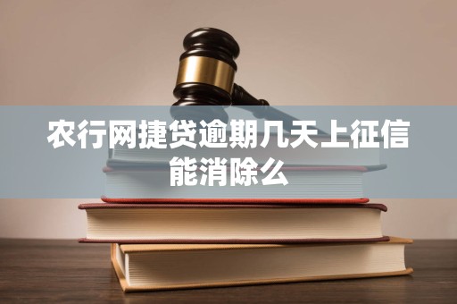 农行网捷贷逾期几天上征信能消除么