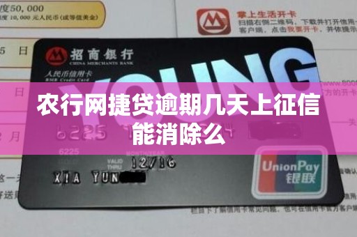 农行网捷贷逾期几天上征信能消除么