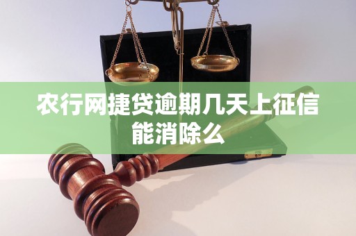 农行网捷贷逾期几天上征信能消除么