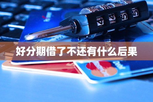 好分期借了不还有什么后果