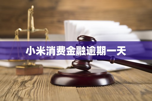 小米消费金融逾期一天