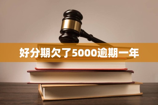 好分期欠了5000逾期一年