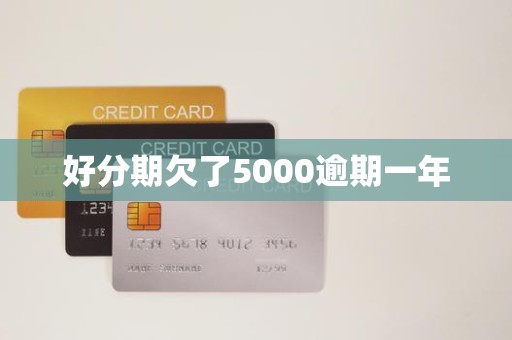 好分期欠了5000逾期一年