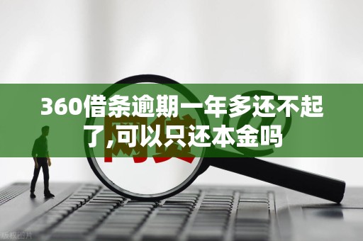 360借条逾期一年多还不起了,可以只还本金吗 360借条逾期一年多还不起了,可以只还本金吗
