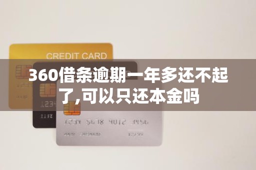 360借条逾期一年多还不起了,可以只还本金吗