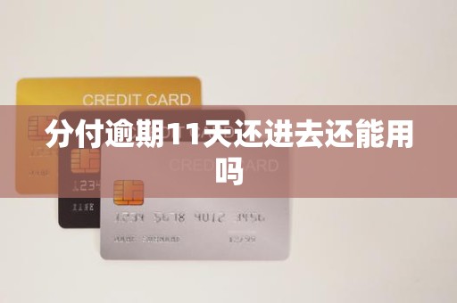 分付逾期11天还进去还能用吗