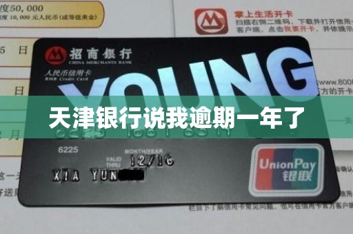 天津银行说我逾期一年了