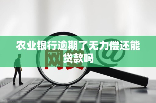 农业银行逾期了无力偿还能贷款吗 农业银行逾期了无力偿还能贷款吗