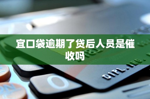 宜口袋逾期了贷后人员是催收吗 宜口袋逾期了贷后人员是催收吗