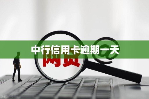 中行信用卡逾期一天