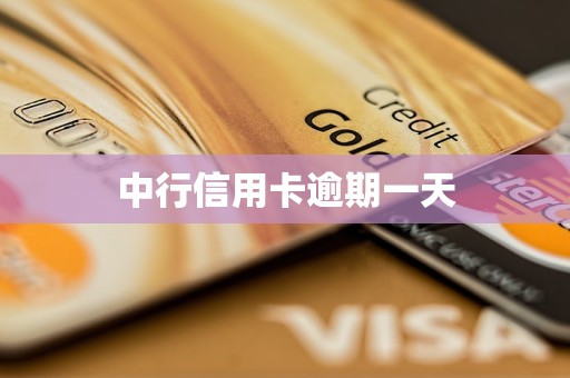 中行信用卡逾期一天