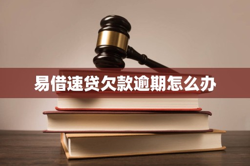 易借速贷欠款逾期怎么办 易借速贷欠款逾期怎么办