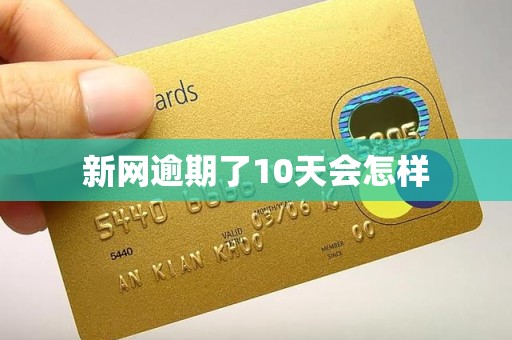 新网逾期了10天会怎样
