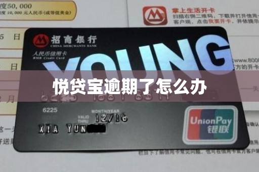 悦贷宝逾期了怎么办