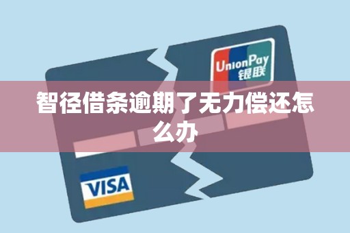 智径借条逾期了无力偿还怎么办