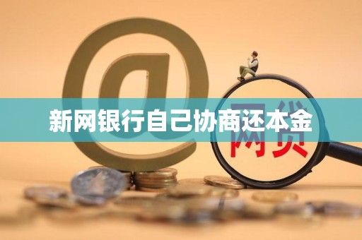 新网银行自己协商还本金