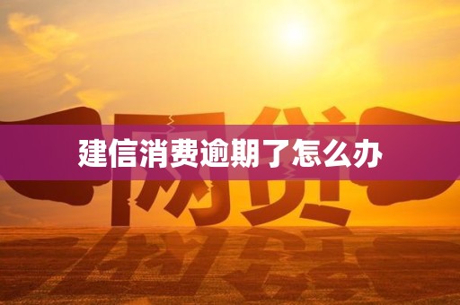 建信消费逾期了怎么办