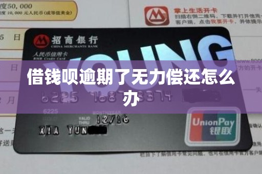 借钱呗逾期了无力偿还怎么办