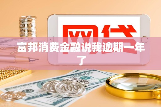 富邦消费金融说我逾期一年了