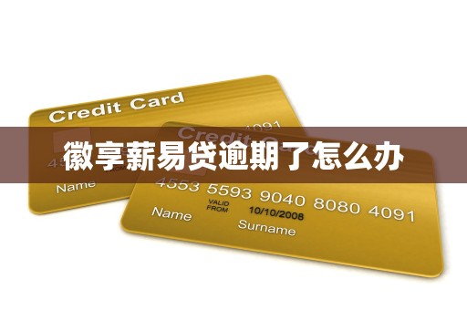 徽享薪易贷逾期了怎么办 徽享薪易贷逾期了怎么办