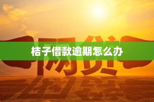 桔子借款逾期怎么办