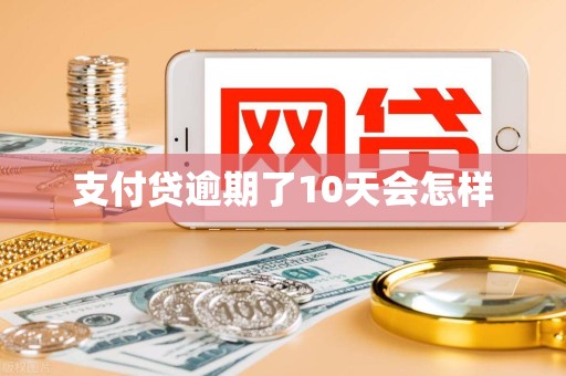支付贷逾期了10天会怎样 支付贷逾期了10天会怎样