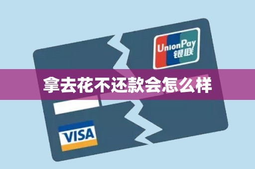 拿去花不还款会怎么样 拿去花不还款会怎么样