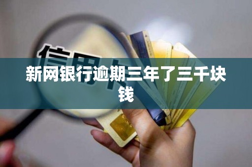 新网银行逾期三年了三千块钱
