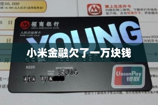 小米金融欠了一万块钱 小米金融欠了一万块钱