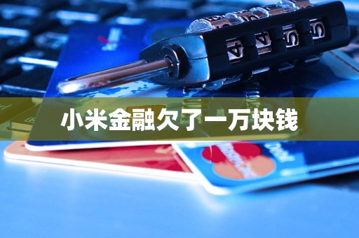 小米金融欠了一万块钱 小米金融欠了一万块钱