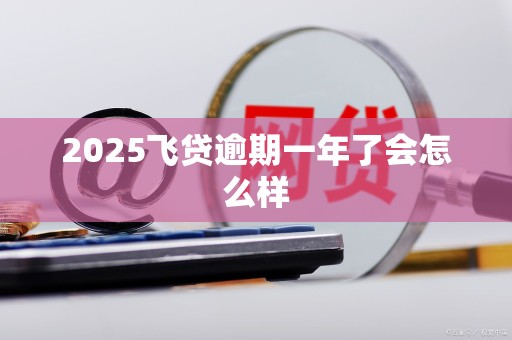 2025飞贷逾期一年了会怎么样
