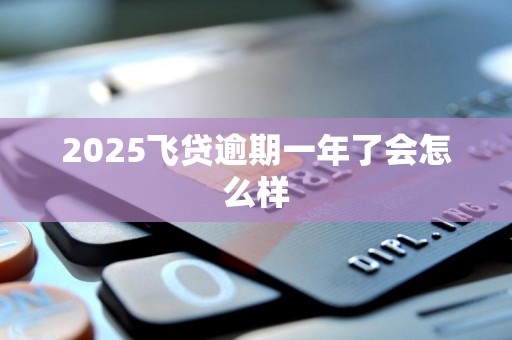 2025飞贷逾期一年了会怎么样