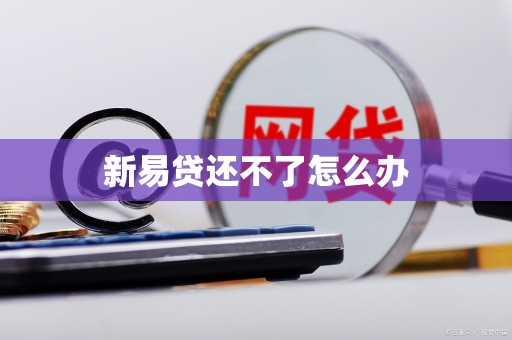 新易贷还不了怎么办